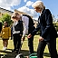 Ināra Mūrniece un Saeimas deputāti piedalās Saeimas simtgadei veltītā ceriņa stādīšanas ceremonijā