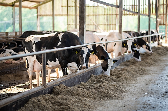 Tautsaimniecības, agrārās, vides un reģionālās politikas komisijas un Ilgtspējīgas attīstības komisijas izbraukuma sēde