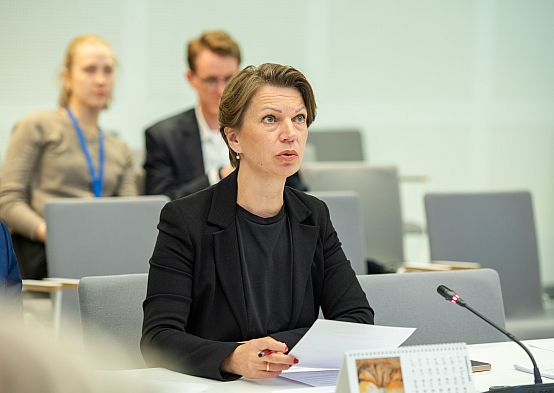 Budžeta un finanšu (nodokļu) komisijas Ēnu ekonomikas apkarošanas apakškomisijas sēde