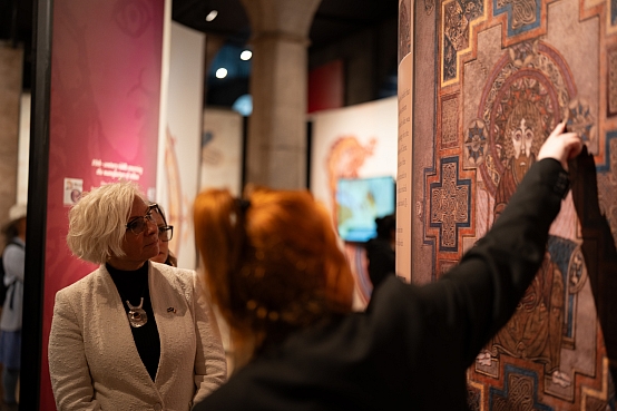 Daigas Mieriņas vizīte Īrijā