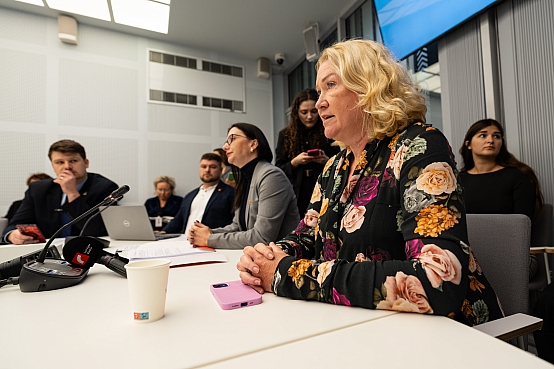 Ārlietu komisijas sēde