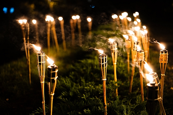 Daiga Mieriņa piedalās Neatkarības cīņu varoņu godināšanas pasākumā