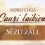 Videocikls "Cauri laikiem" - Saeimas sēžu zāle